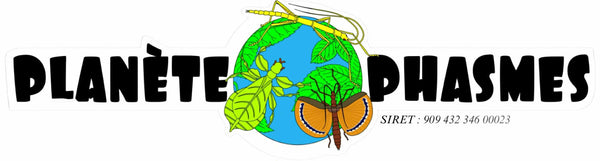 Planète Phasmes